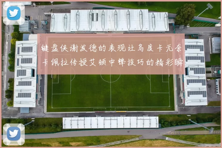 键盘侠谢泼德的表现让乌度卡无奈卡佩拉传授艾顿中锋技巧的精彩瞬间