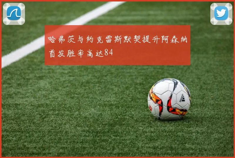 哈弗茨与约克雷斯默契提升阿森纳首发胜率高达84