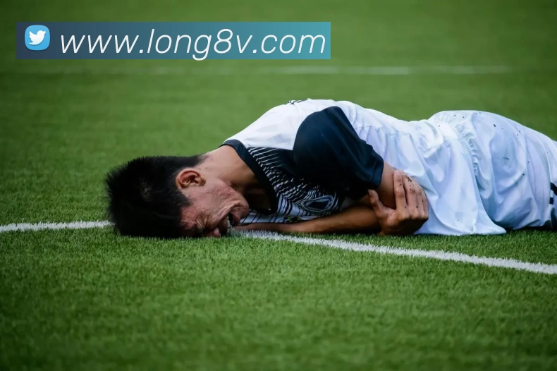 龙8国际游戏平台生态图